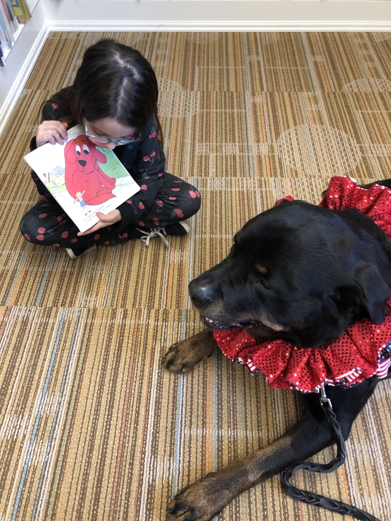 Showing pictures to Tommy